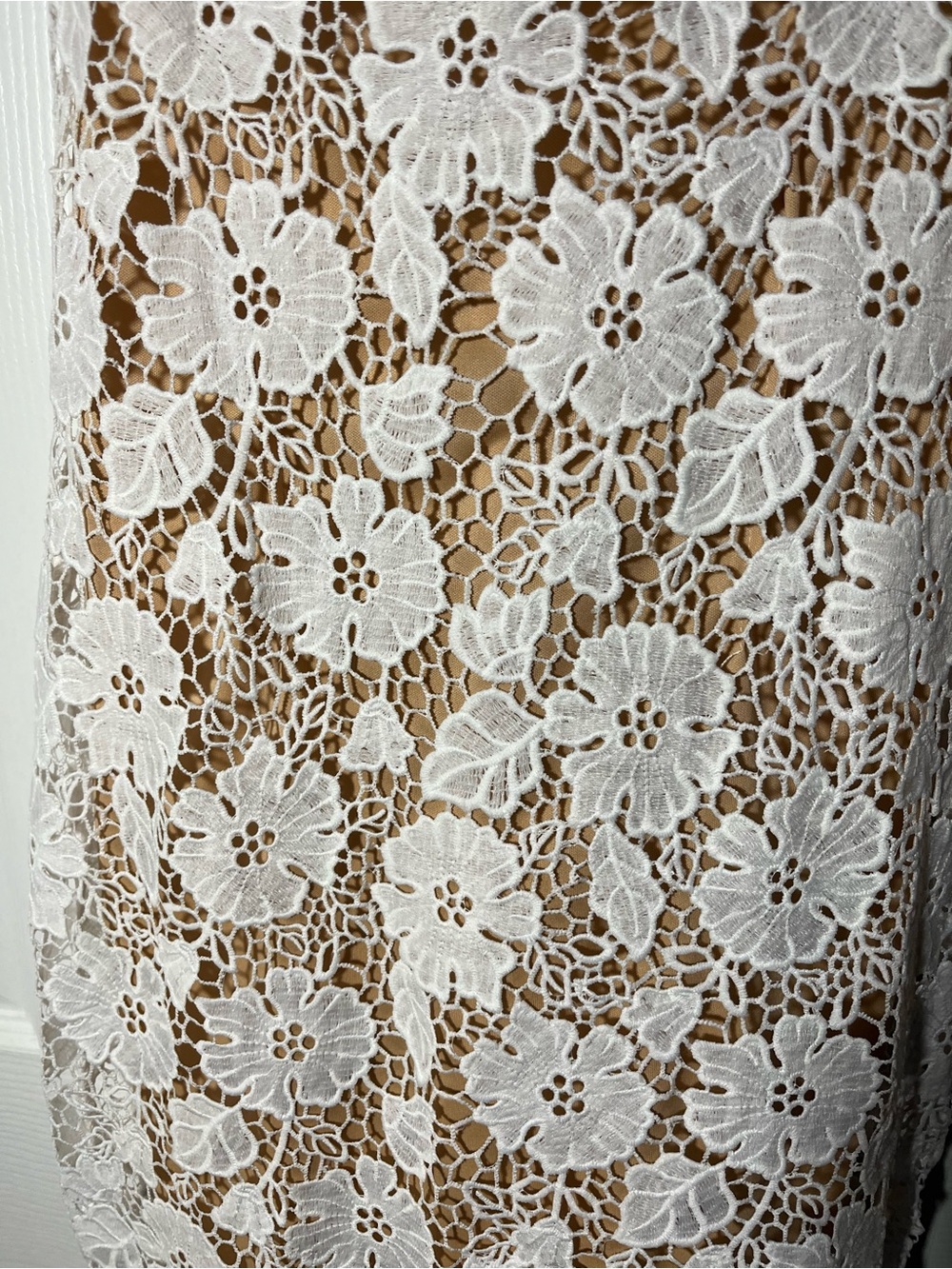 NWT Lace Maxi Dress with Intricate Detailing - Picture 7 of 12